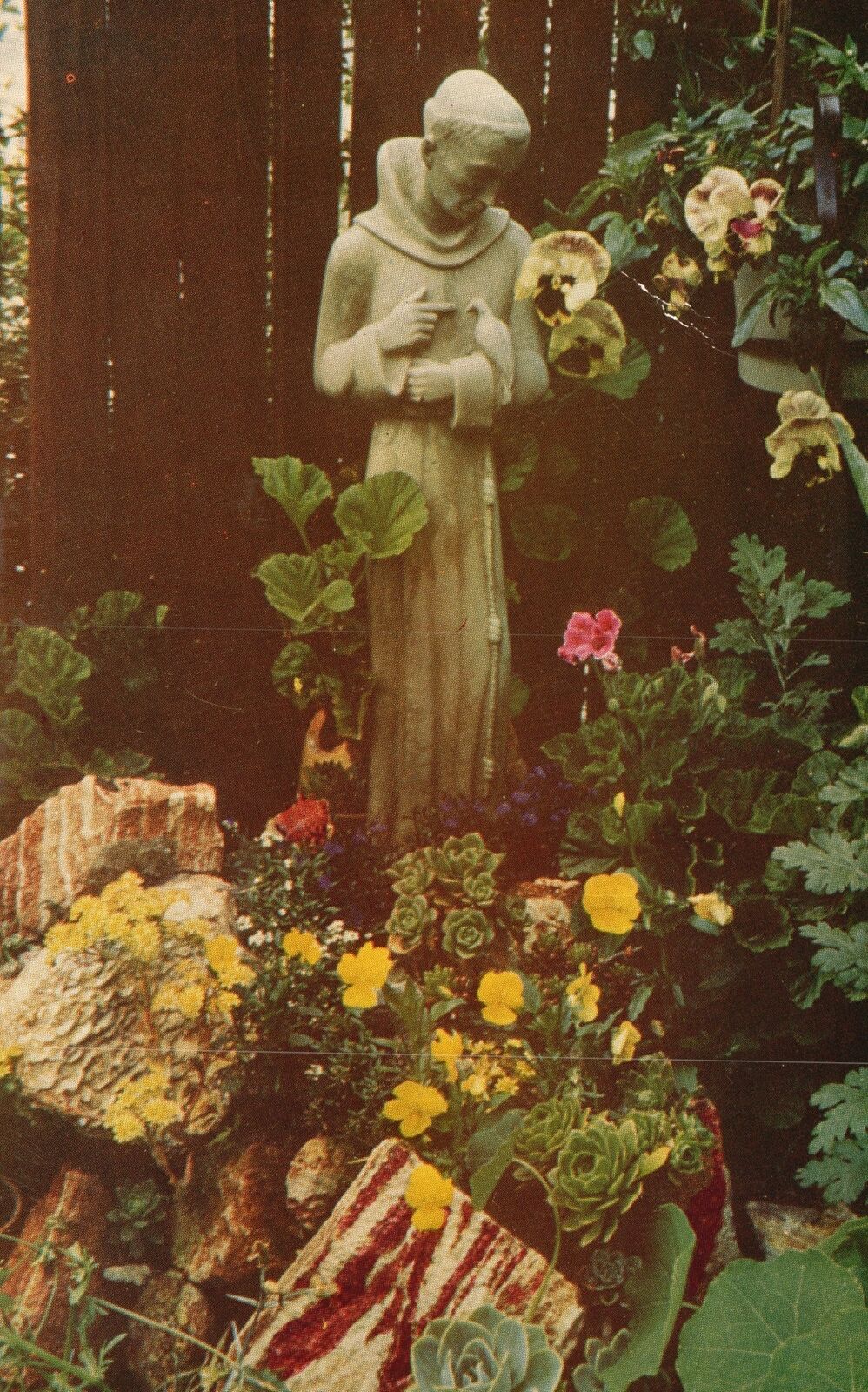 Vintage Postcard St. Francis Of Assisi Founder Of Franciscan Order Devotion