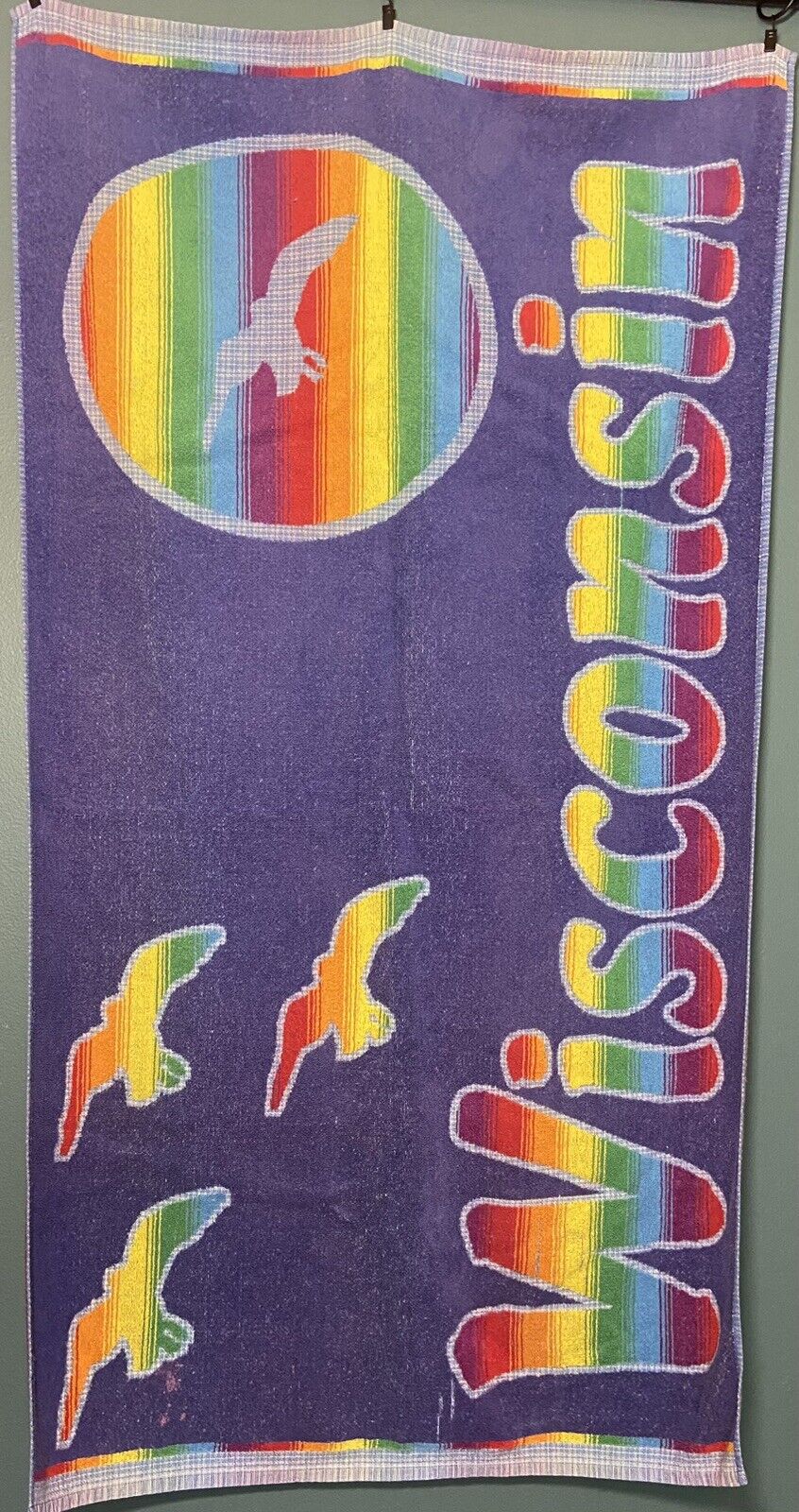 Vintage Retro Style 2000s Rainbow Stripe Wisconsin Reversible Beach Towel Brazil