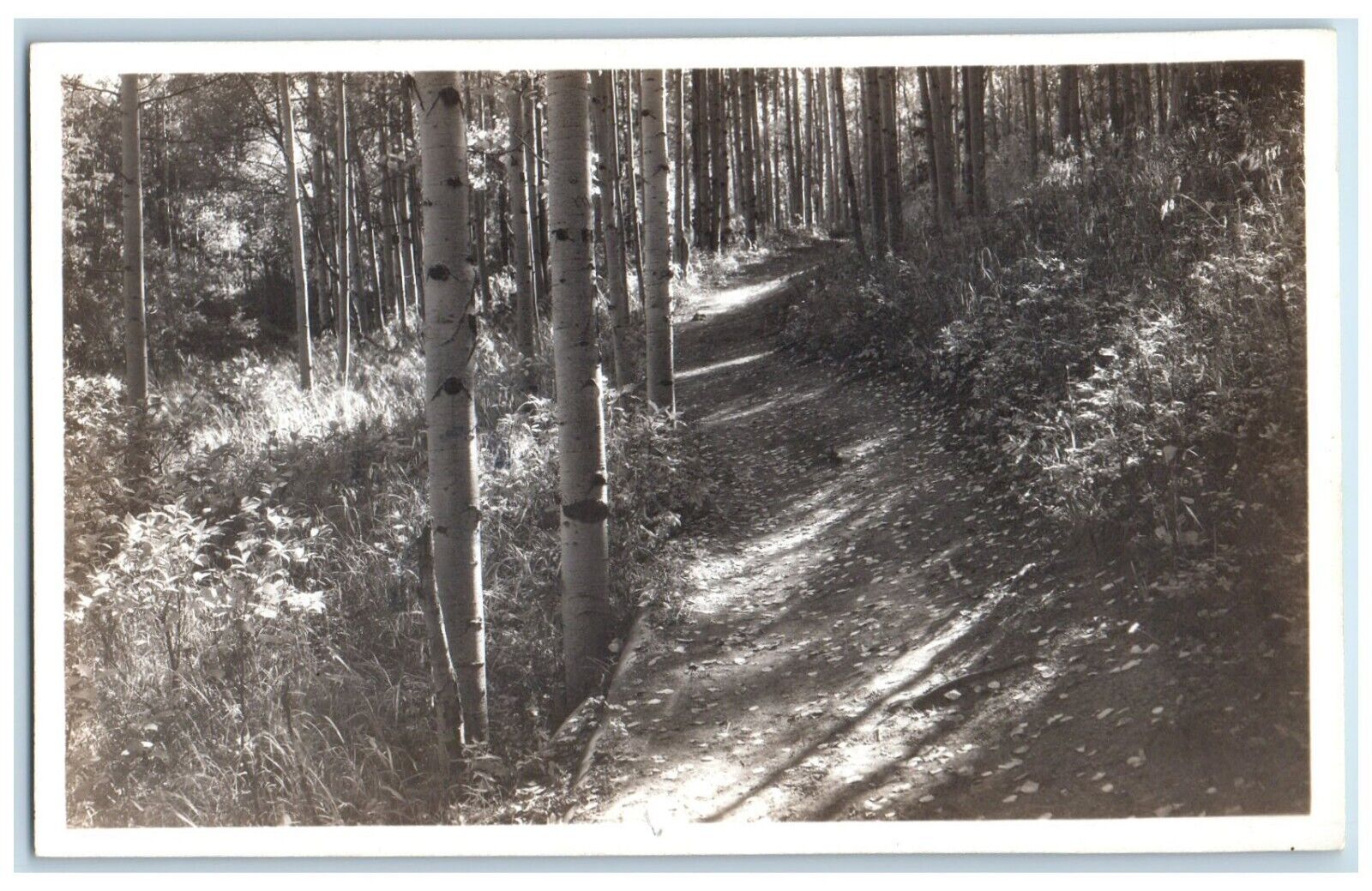 c1930s Devil's Head Trail Denver Colorado Cooper CO RPPC Photo Postcard