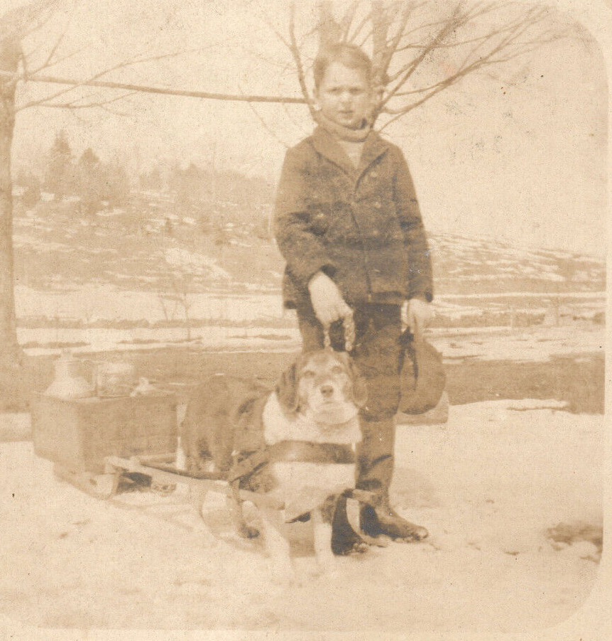 Beagle Pulling Sled Grafton Vermont VT RPPC Real Photo Postcard Easter