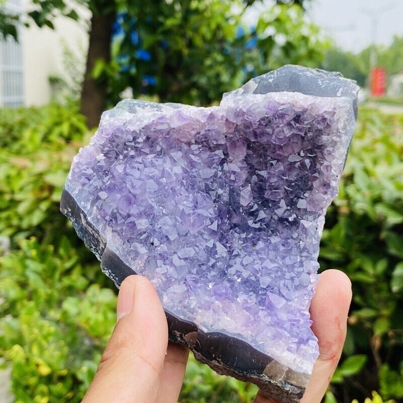 507g Natural Stone Deep Amethyst Quartz Crystal Cluster Specimen Therapy Crystal
