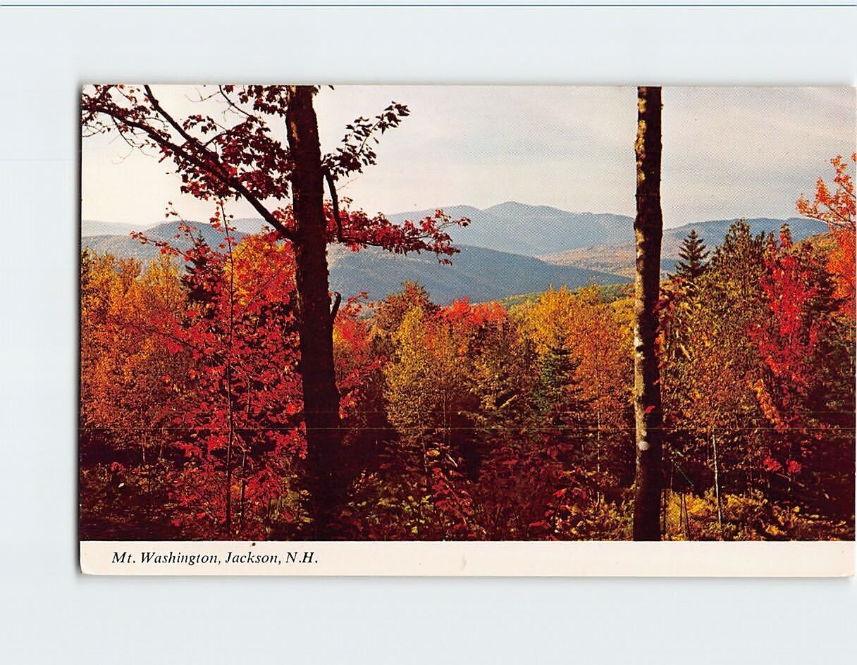 Postcard Mt. Washington Jackson New Hampshire USA