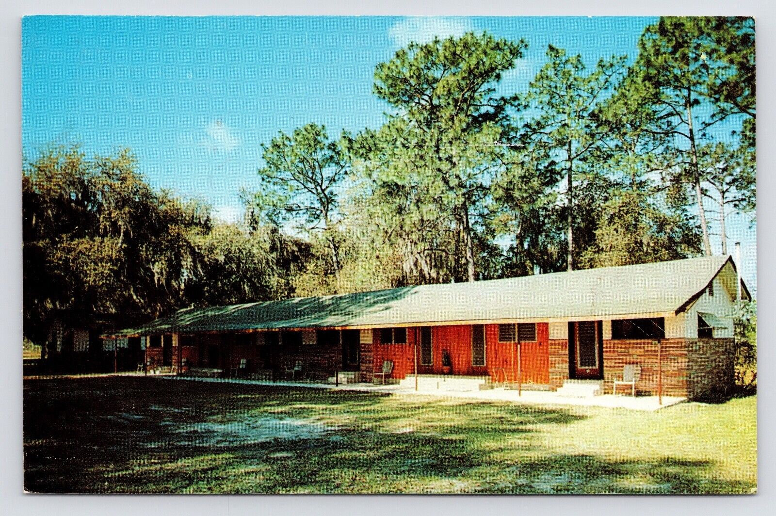 1950s~Starke Florida FL~US 301~Whispering Pines Motel~Vintage VTG 50s Postcard