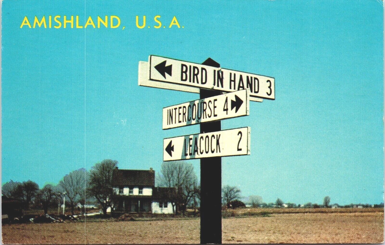 Amishland U.S.A. Postcard1967 Road SignsIntercourse Bird in hand Leacock 