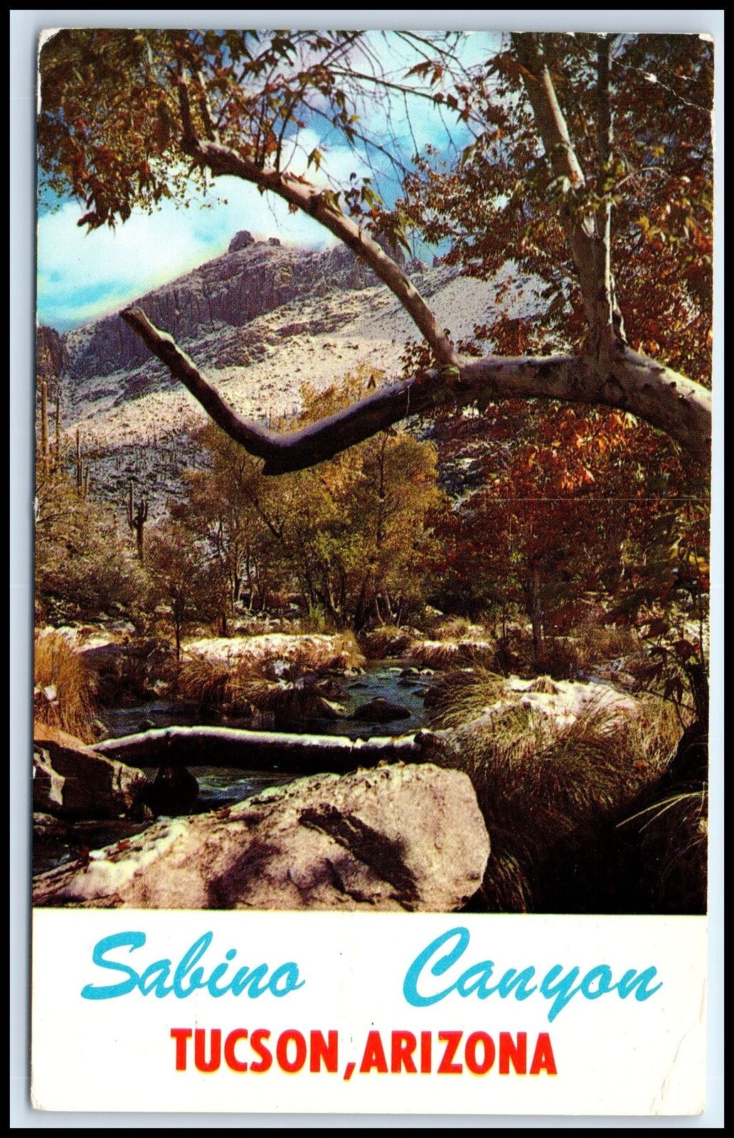Postcard Sabino Canyon, Tucson, Arizona   I66