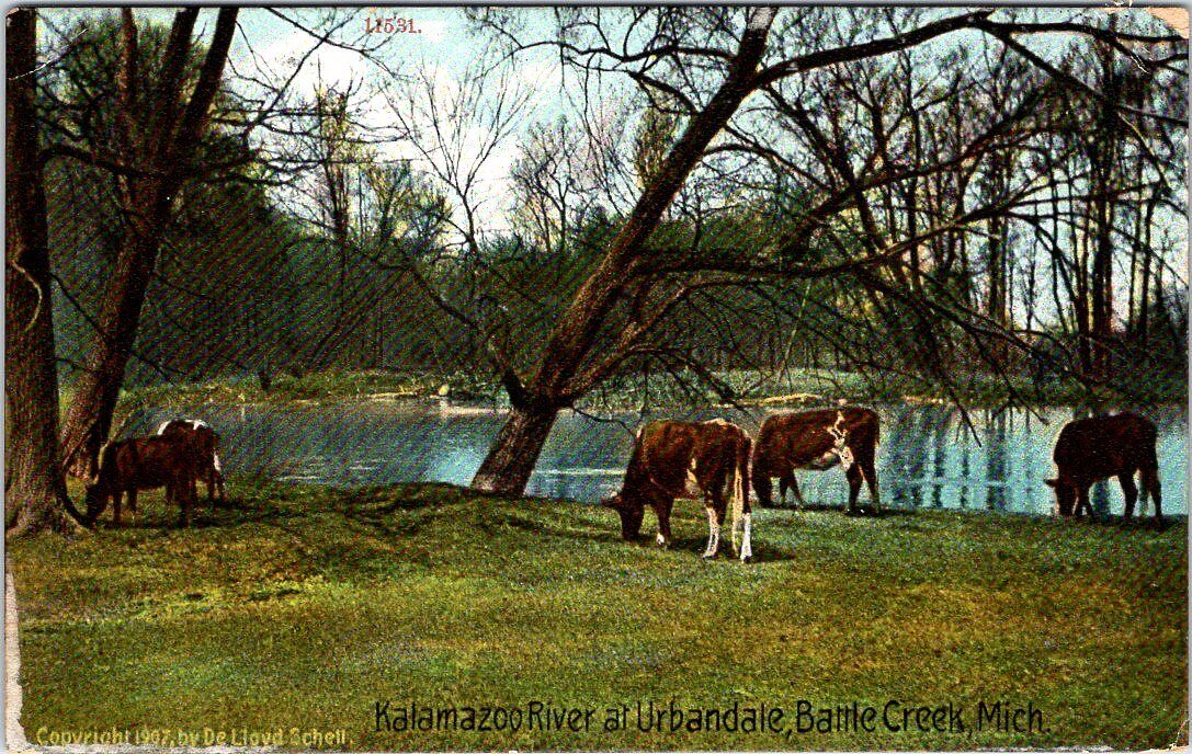 1913, Kalamazoo River at Urbandale, BATTLE CREEK, Michigan Postcard
