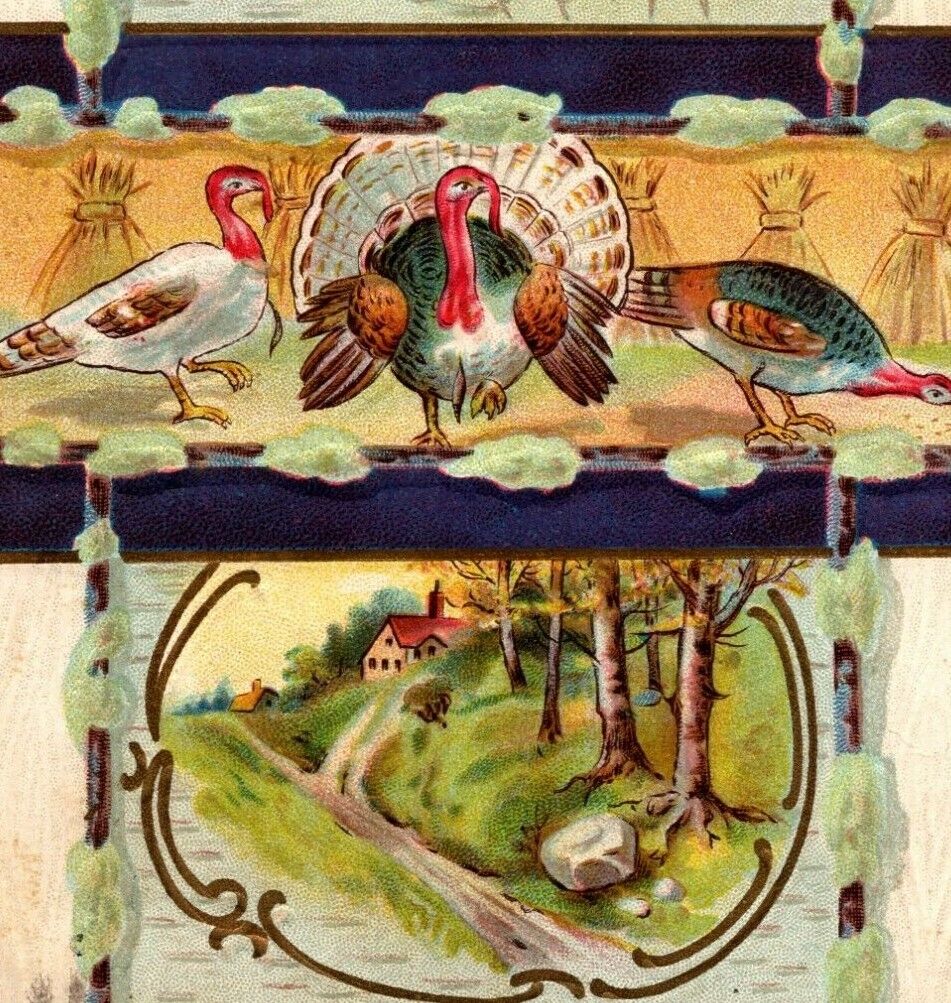 Winsch Thanksgiving Postcard Pastoral Fall Cottage Gobbler Turkey Wheat Stalks