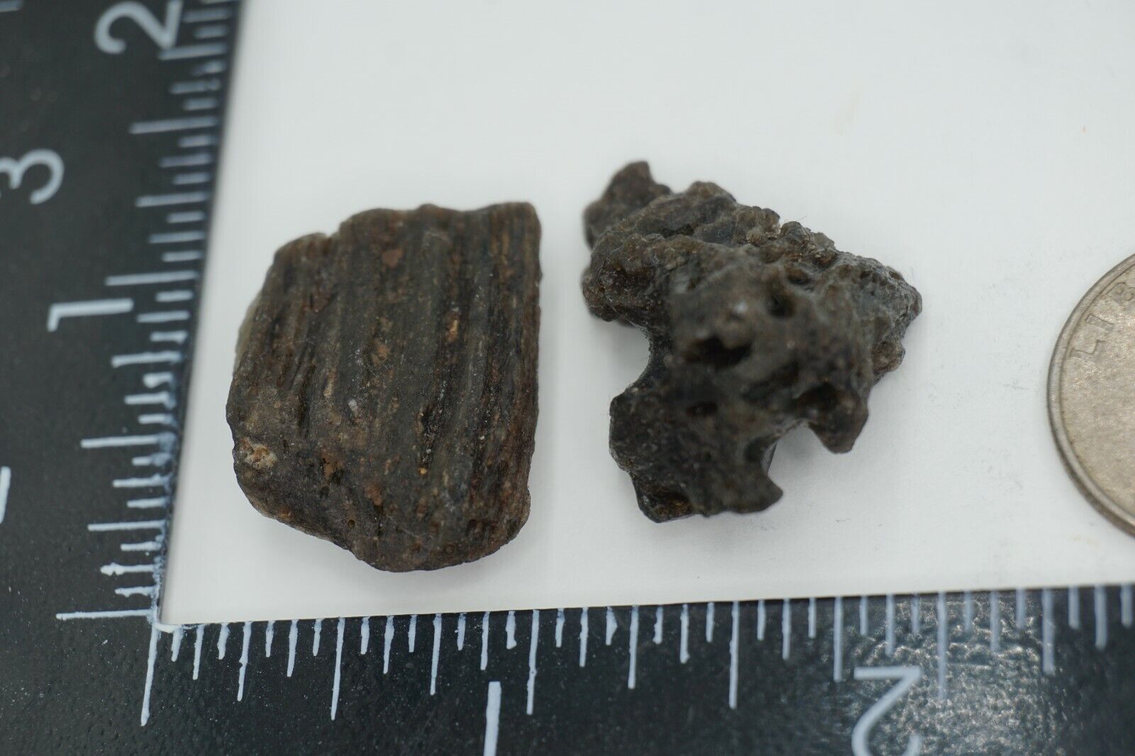 Darwin Glass -- 12g - Austalite - Darwinite - tektite - impactite #gls9