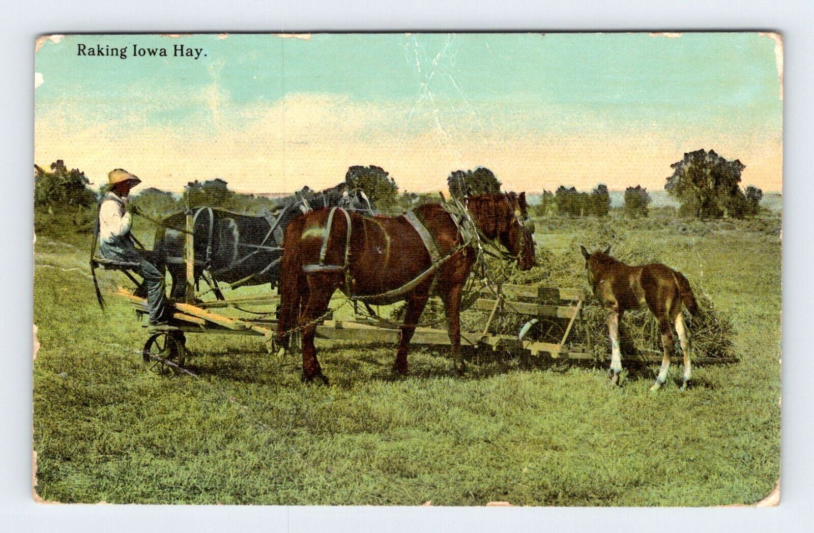 Raking Iowa Hay Vintage Postcard LDP-15