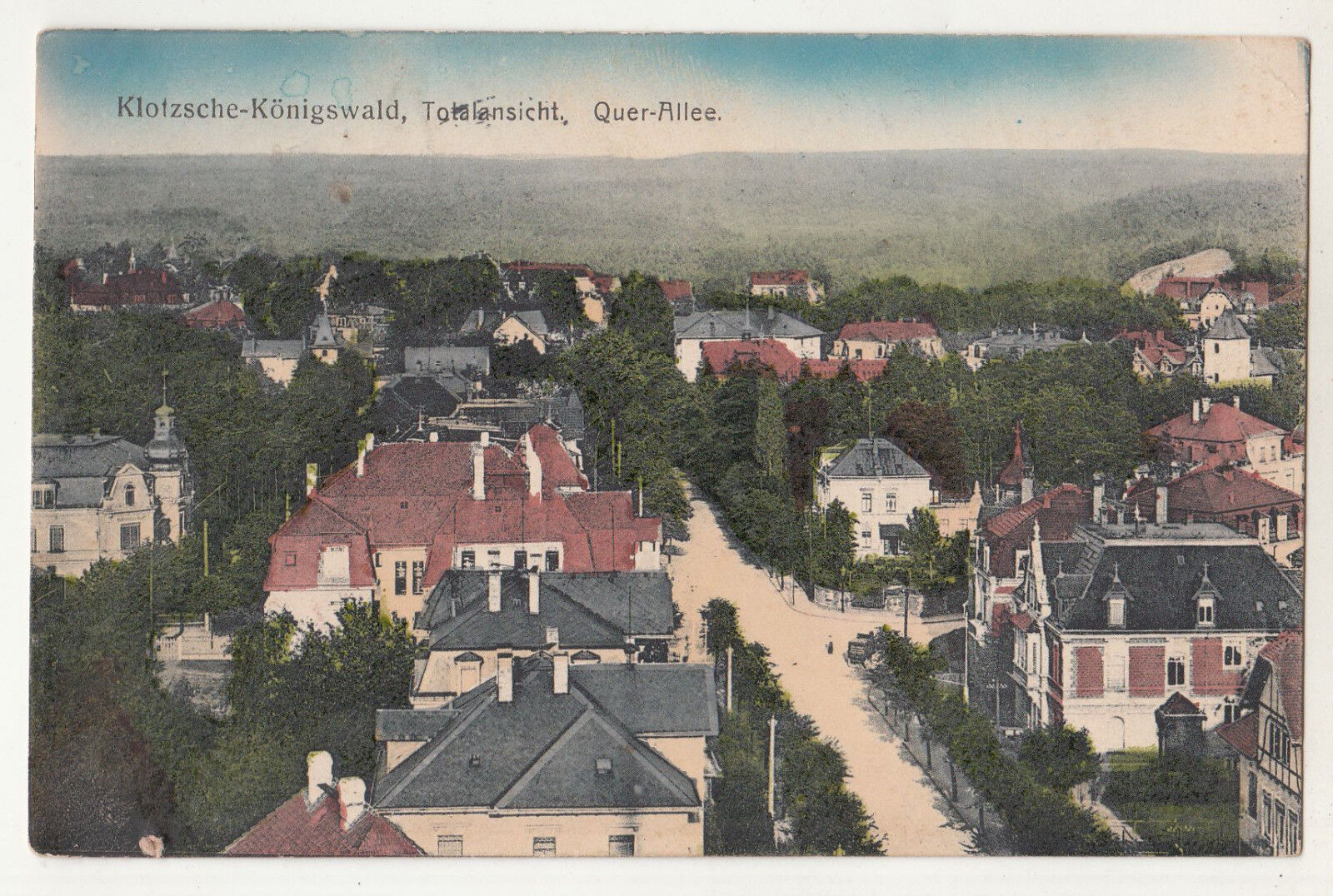 Kolo. Ak Klotzsche - Königswald Full View Across - Avenue 1915 Dresden (K2