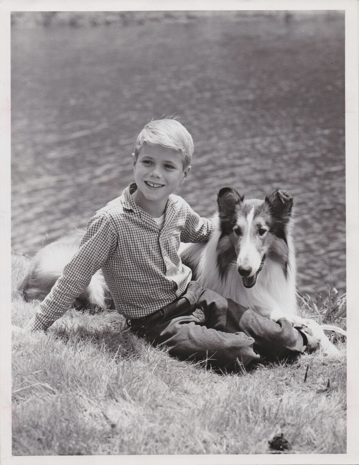 1961 Press Photo Actor Jon Provost with Collie Dog Lassie in \
