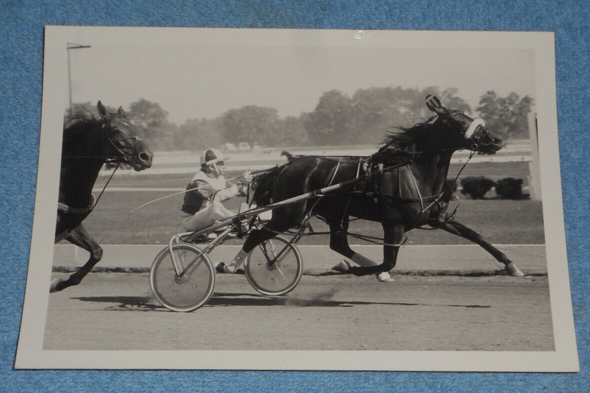 Vintage Circa 1970s Harness Racing Press Photo Horse \