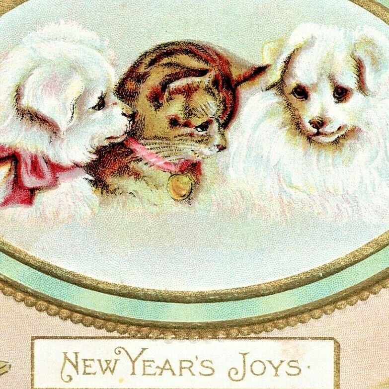 c1907 New Year\'s Puppies and Kitten, champagne, vintage postcard embossed cute