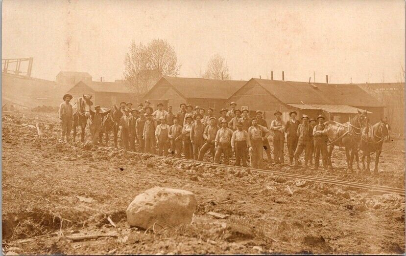RPPC Postcard Group Railroad Workers Work Camp Horse Teams c.1904-1920s    12553