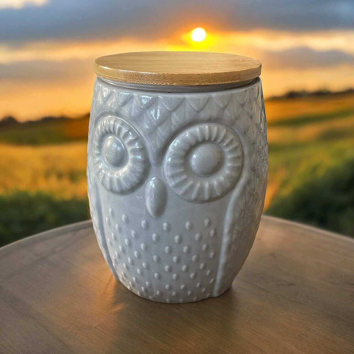 Now Designs Ceramic Owl Canister