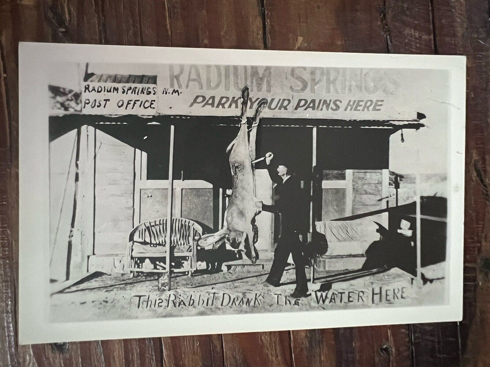 Vintage 1940’s Real Photo Postcard - Comic Giant Rabbit Radium Springs NM