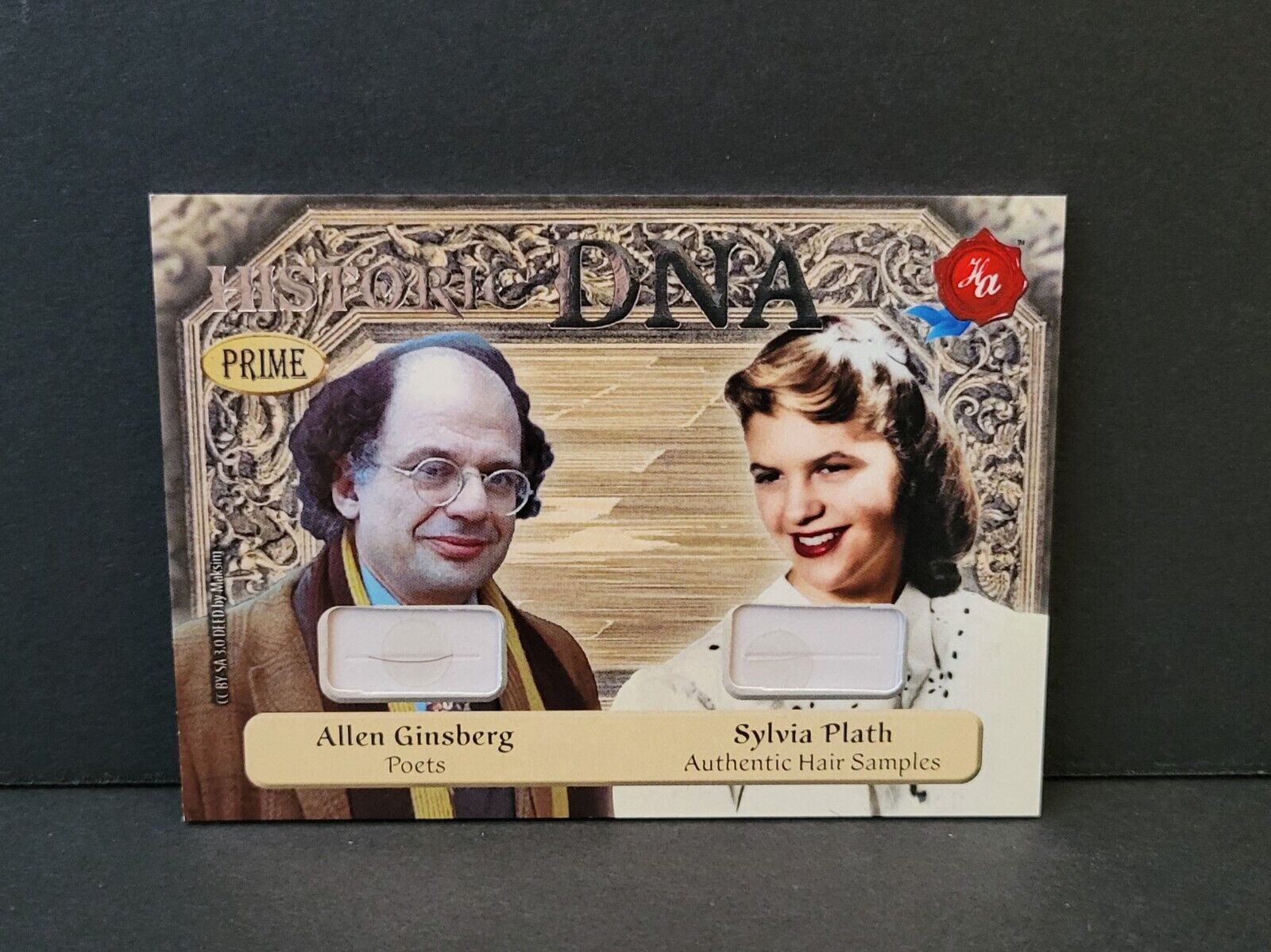 2024 Historic Autographs Prime DNA Allen Ginsberg Sylvia Plath HAIR RELIC 1/3