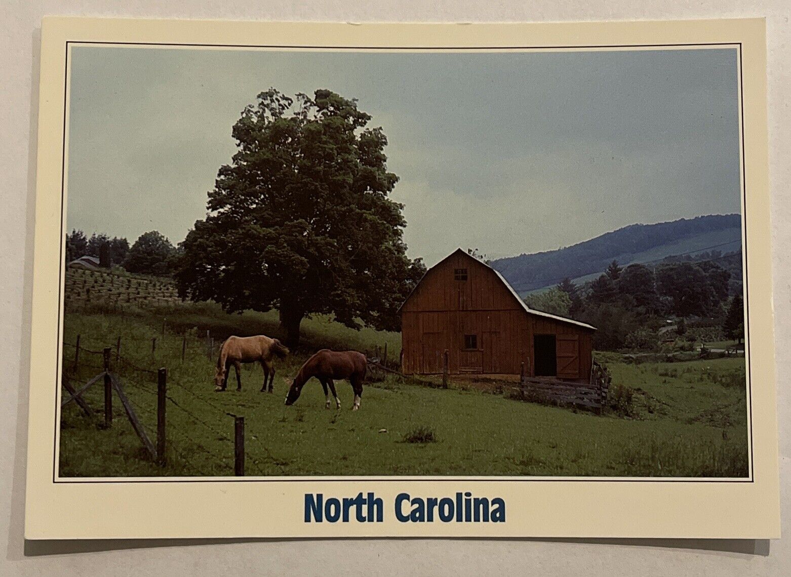 Postcard North Carolina NC Farms Hillsides Scenic Drive Barn Horses
