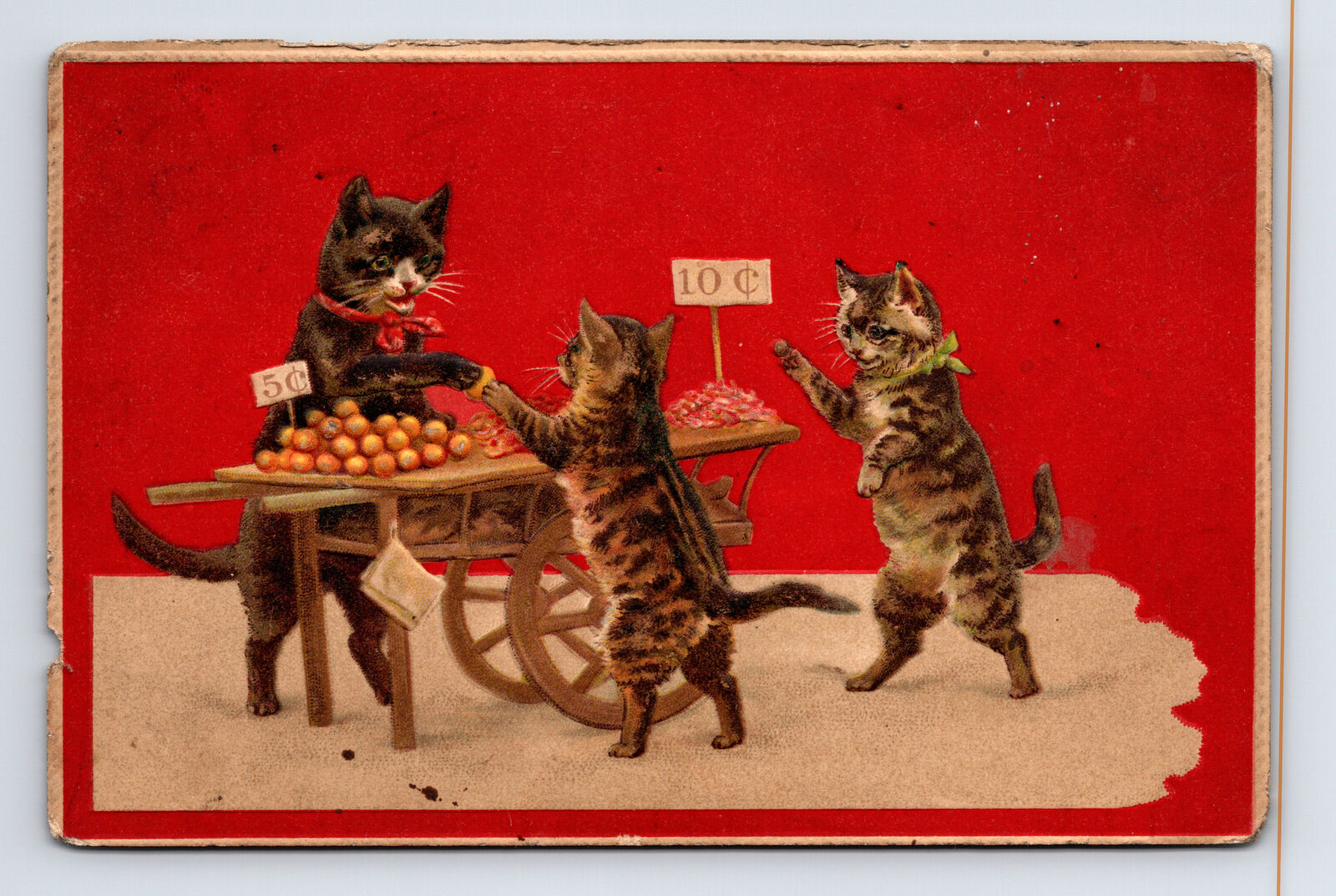 Postcard Anthropomorphic Cats Fruit Street Vendor Embossed