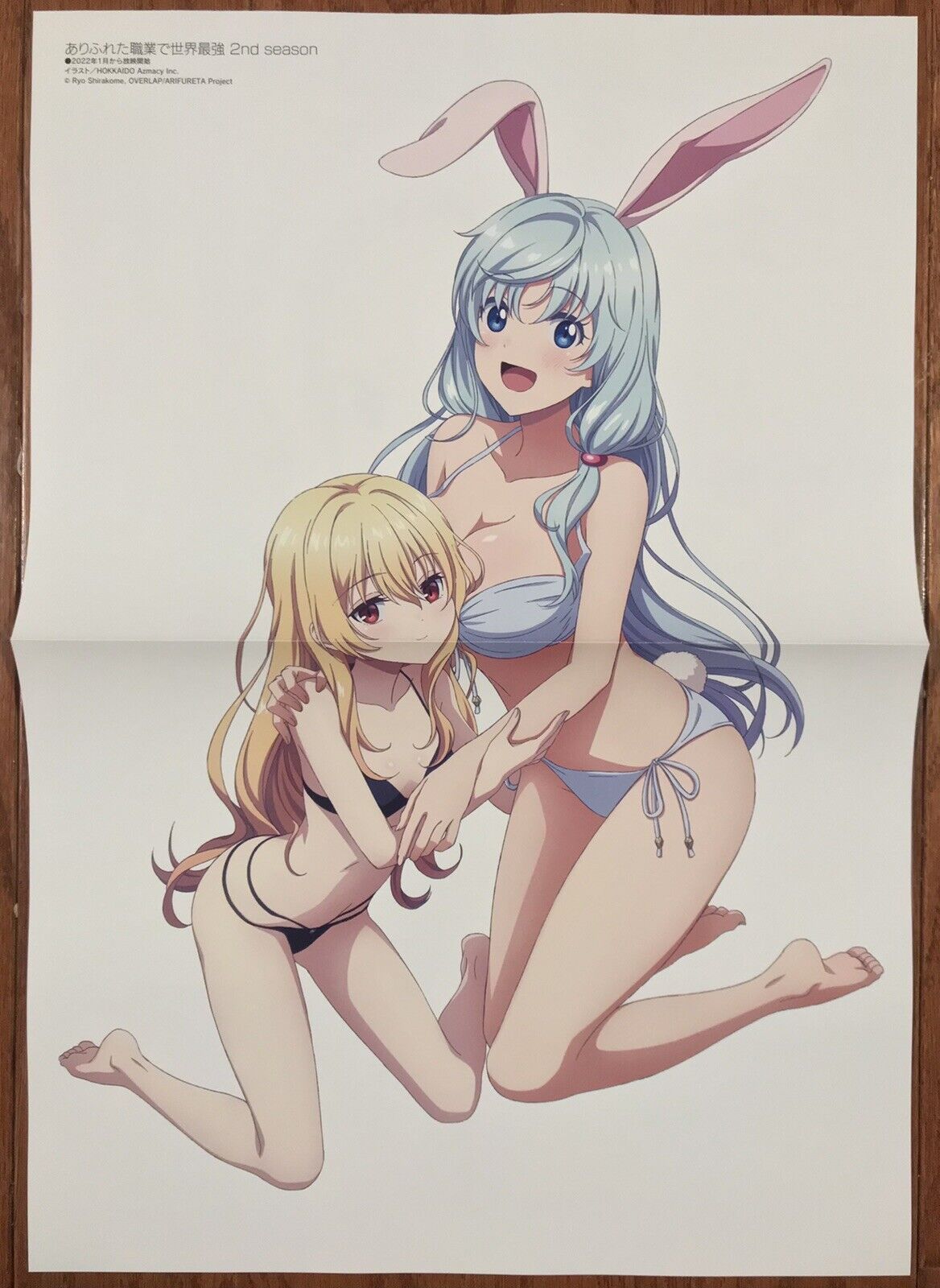 Double Sided Anime Poster: Arifureta, Girlfriend Girlfriend