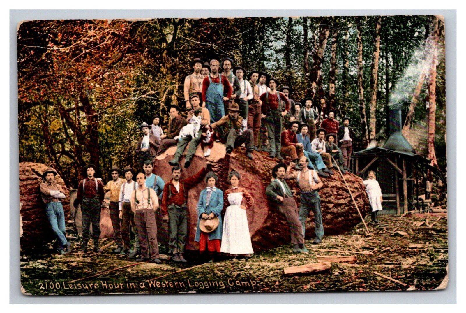 Postcard Stockton California 1910 Logging Camp Portrait