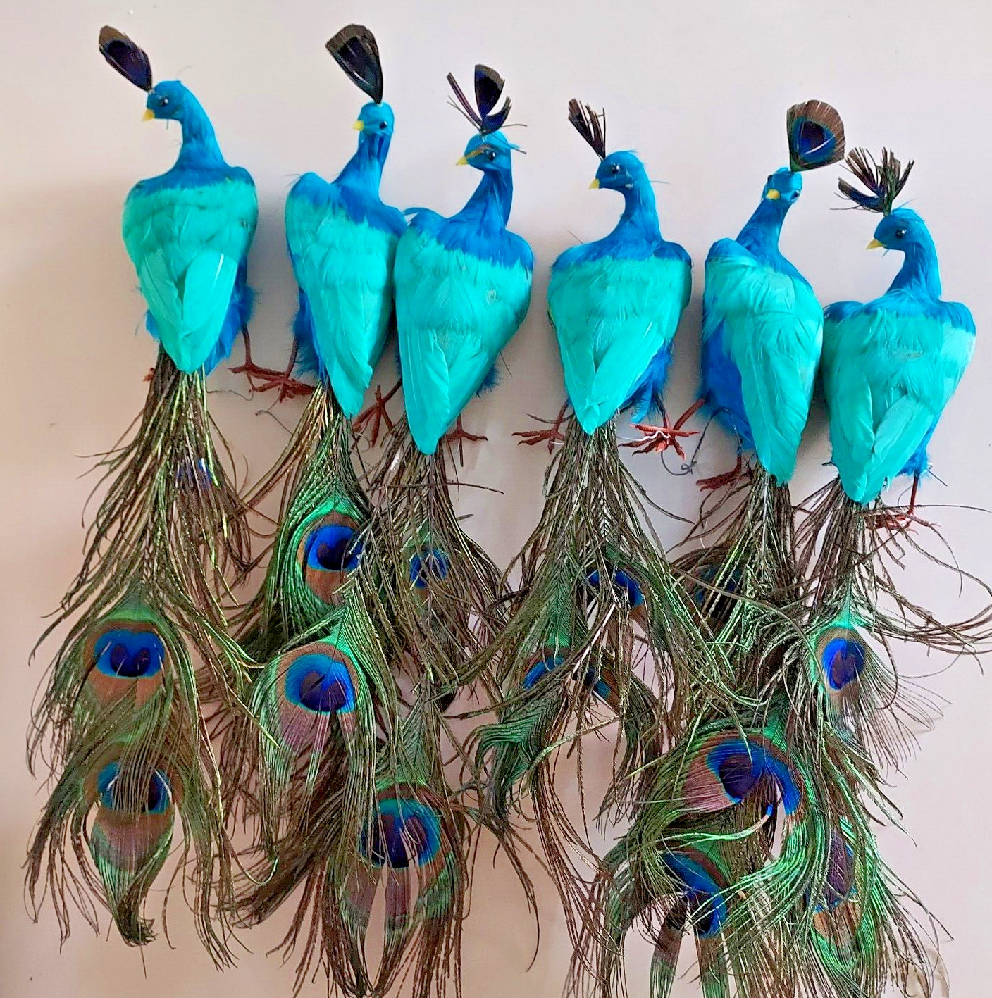 Rare 6 Vintage Peacock Birds Ornaments Real Natural Feathers - Large / Long  16\