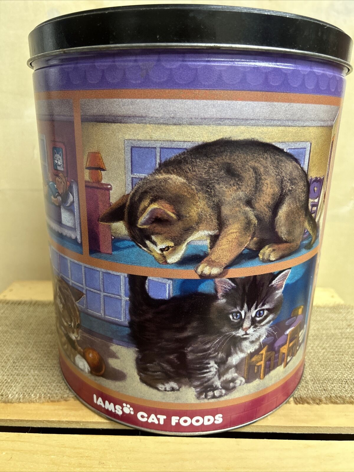 Vintage large 1997 IAMS Cat Food Tin Purple seventh in a series