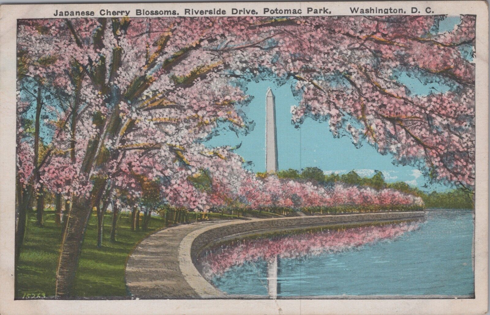 1920s Postcard Washington, DC Cherry Blossums Washington Monument UNP 5774.2
