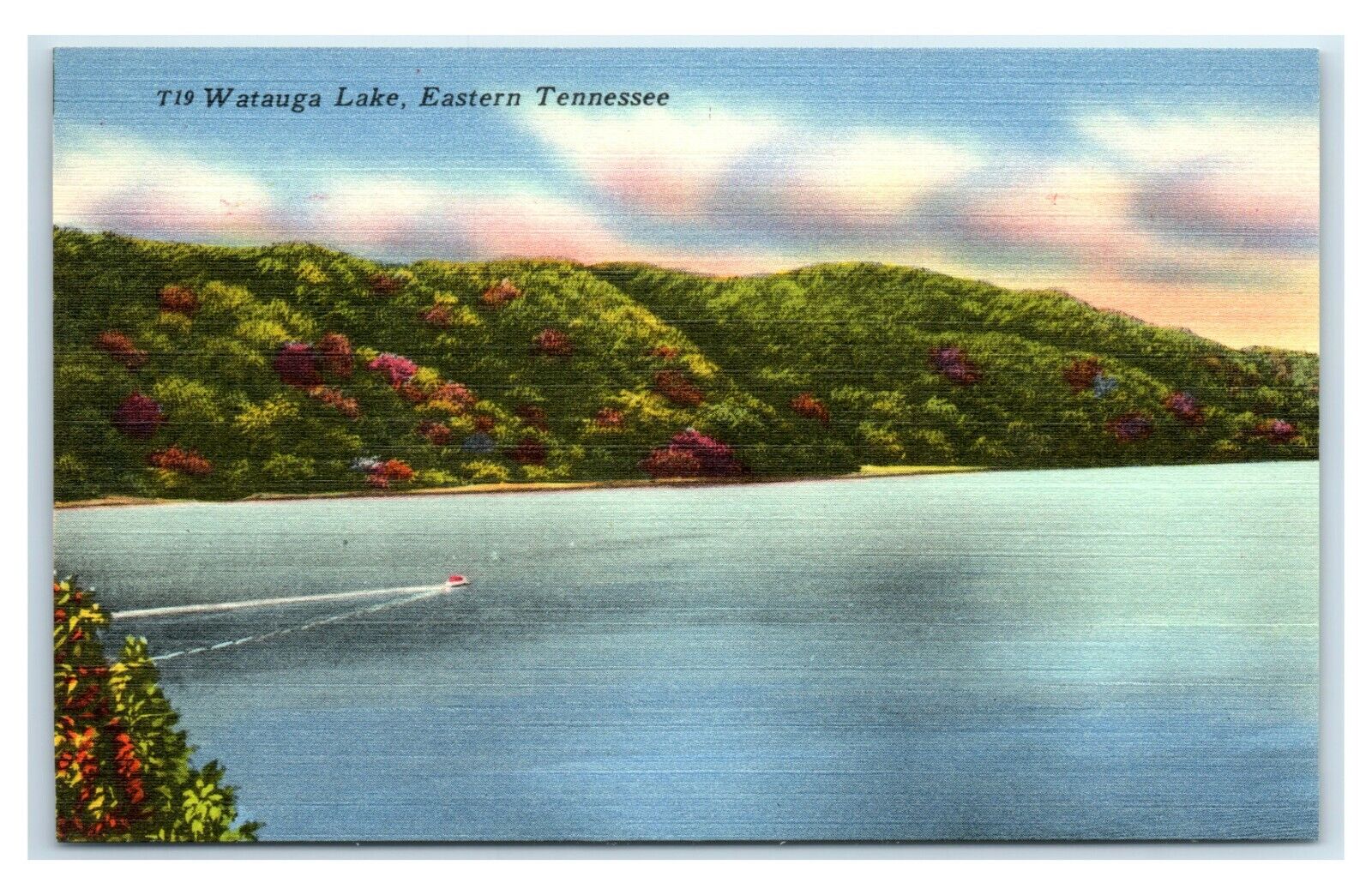 Postcard Watauga Lake, Eastern Tennessee linen unused W28