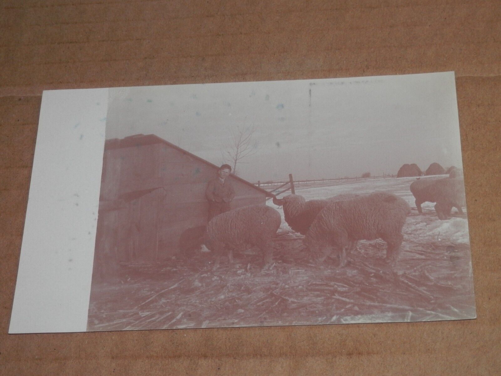 DONNELLSON IOWA - THREE 1907-1920\'S ERA REAL-PHOTO POSTCARDS - FARMING - LADIES