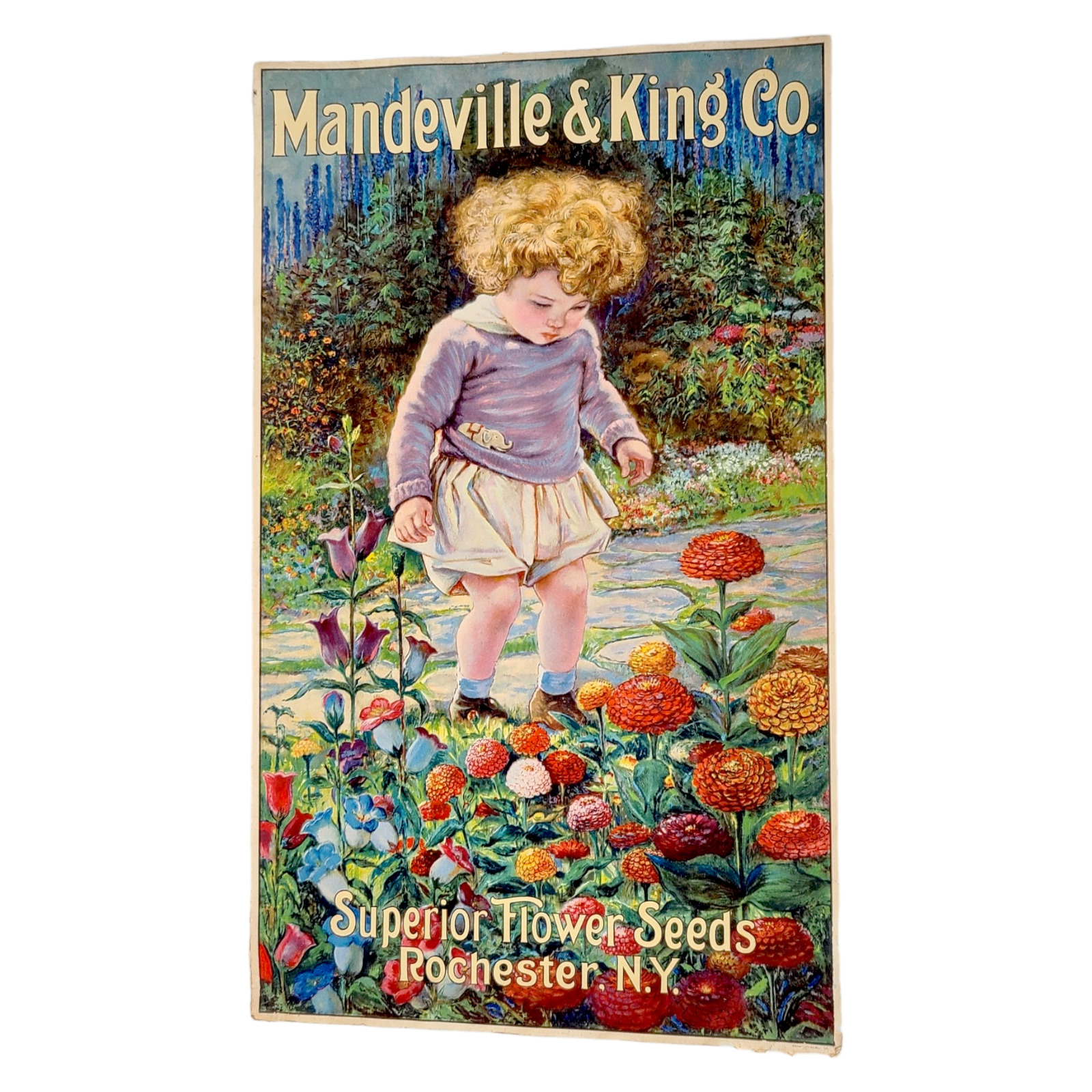Vintage MANDEVILLE & KING SEED Co Antique Print Poster Flowers Girl Victorian
