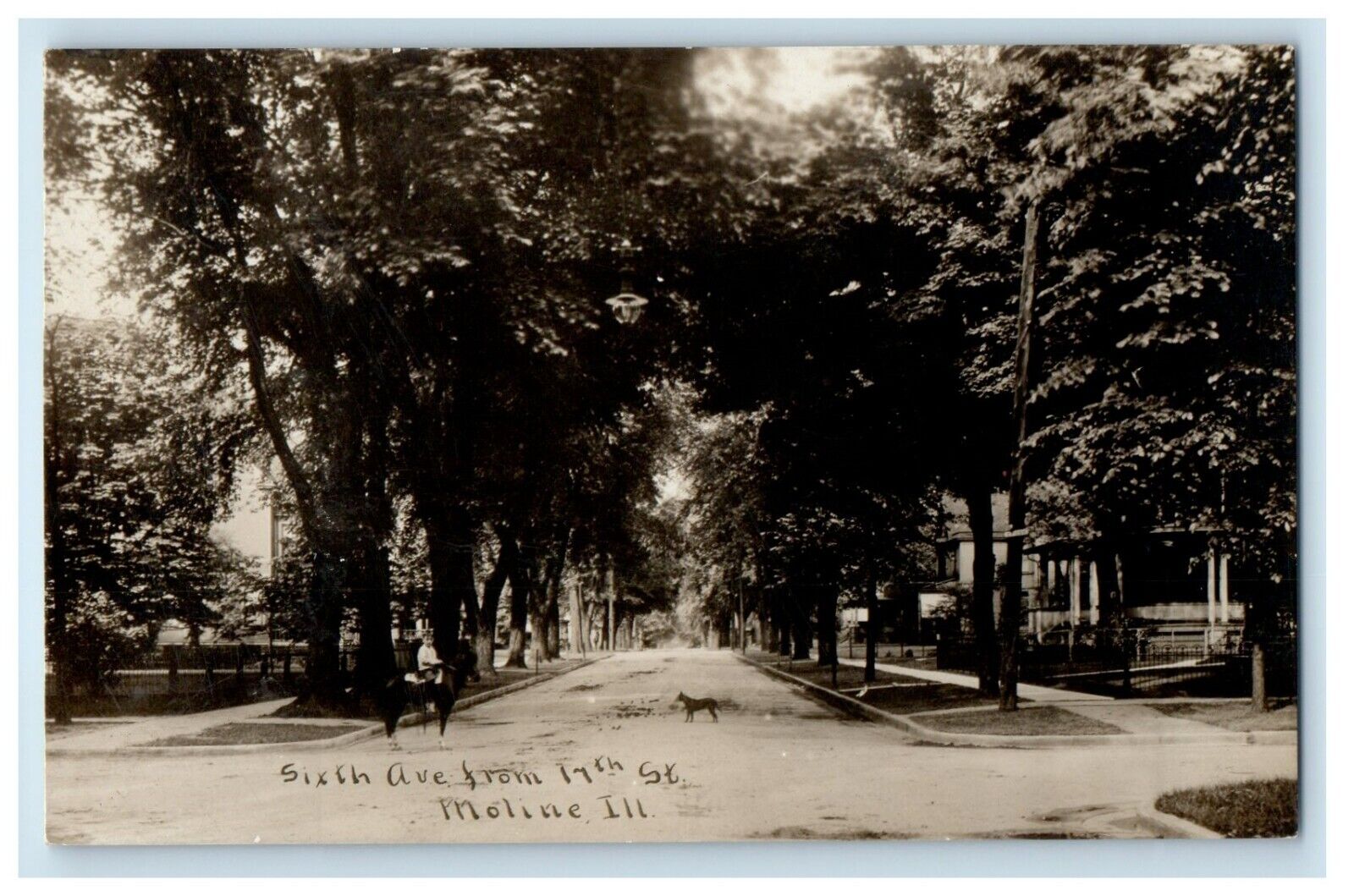 c1910's Sixth Ave. From 17th Street Dog Moline Illinois IL RPPC Photo Postcard
