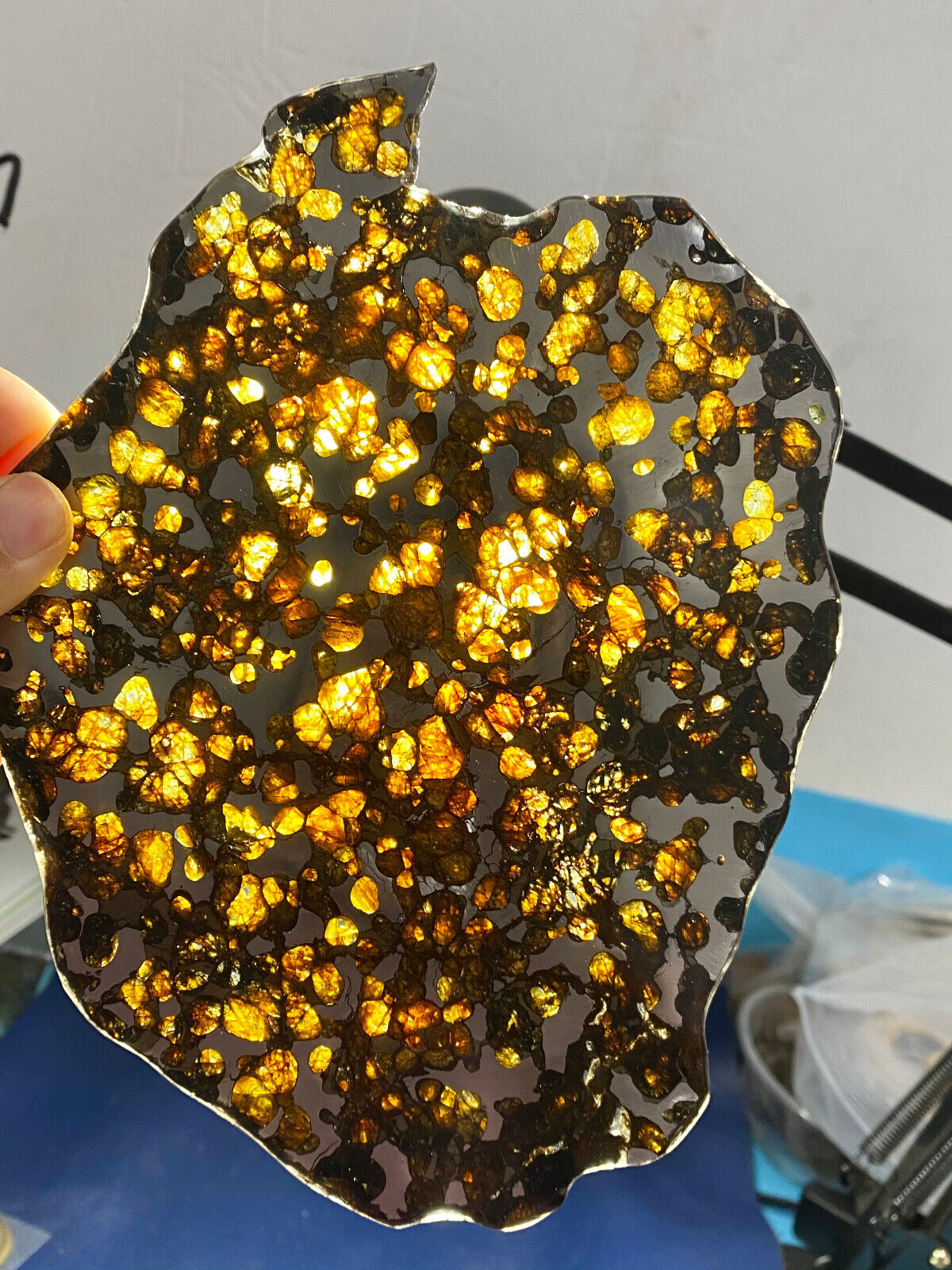 214g Beautiful Brenham meteorite Iron meteorite thin slice-from USA