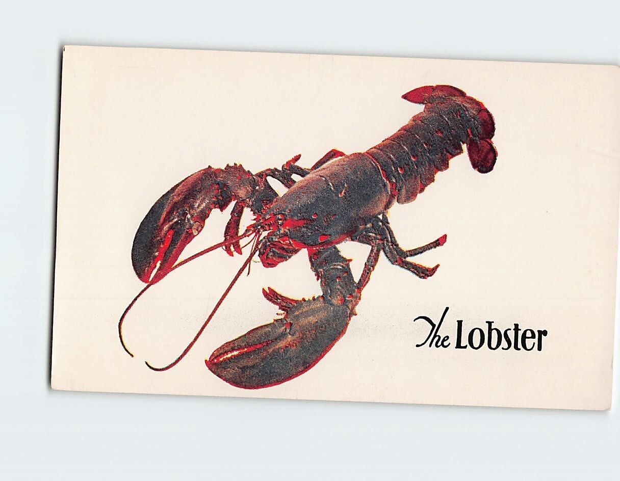 Postcard The Lobster New York City New York USA
