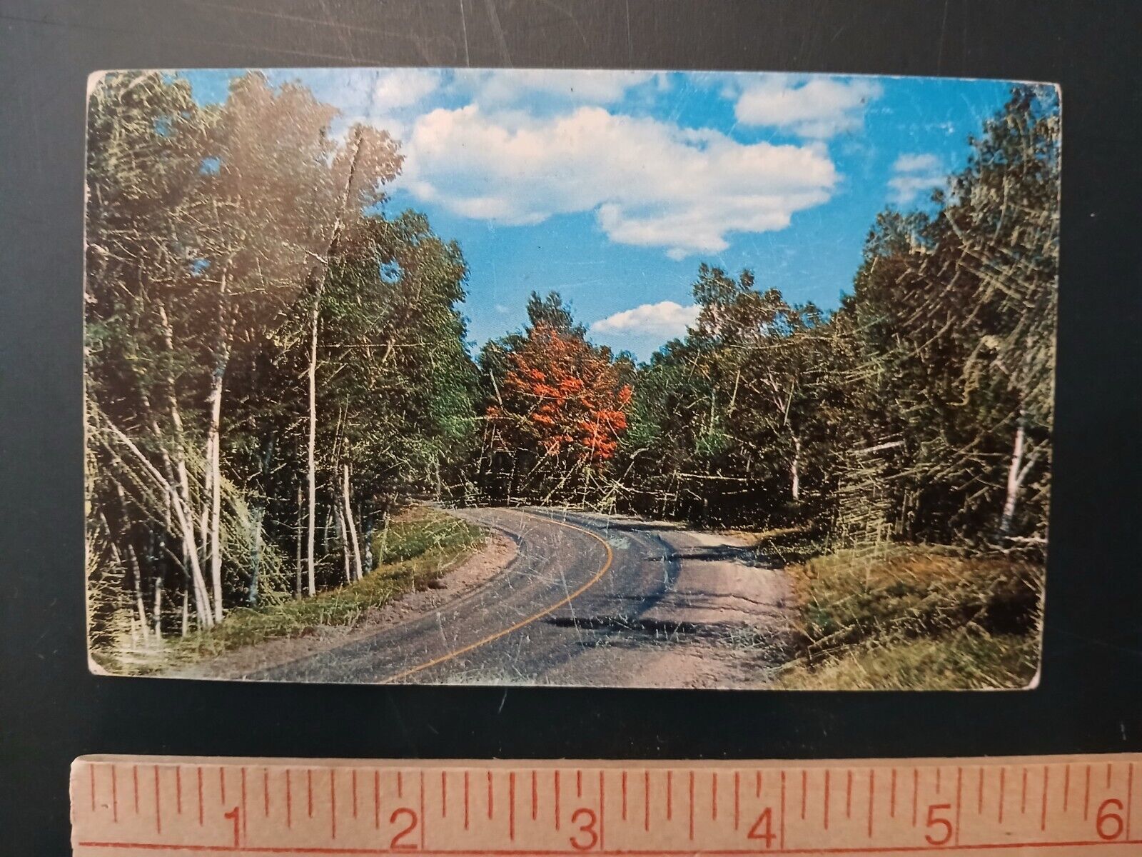 Postcard, South Dakota Road