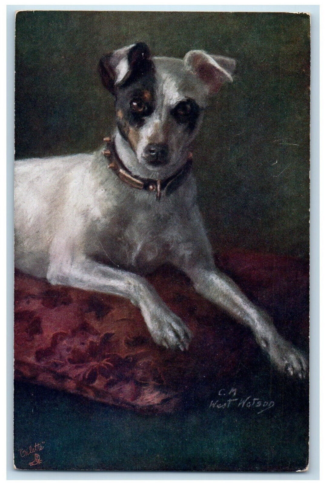 Postcard CM West Watson The Fox Terrier Pet Dogs c1910 Antique Oilette Tuck Dogs