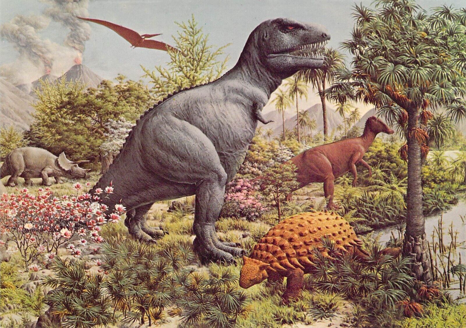 1977 Peabody #3  Museum Reptiles Mural Triceratops 4x6 postcard L157