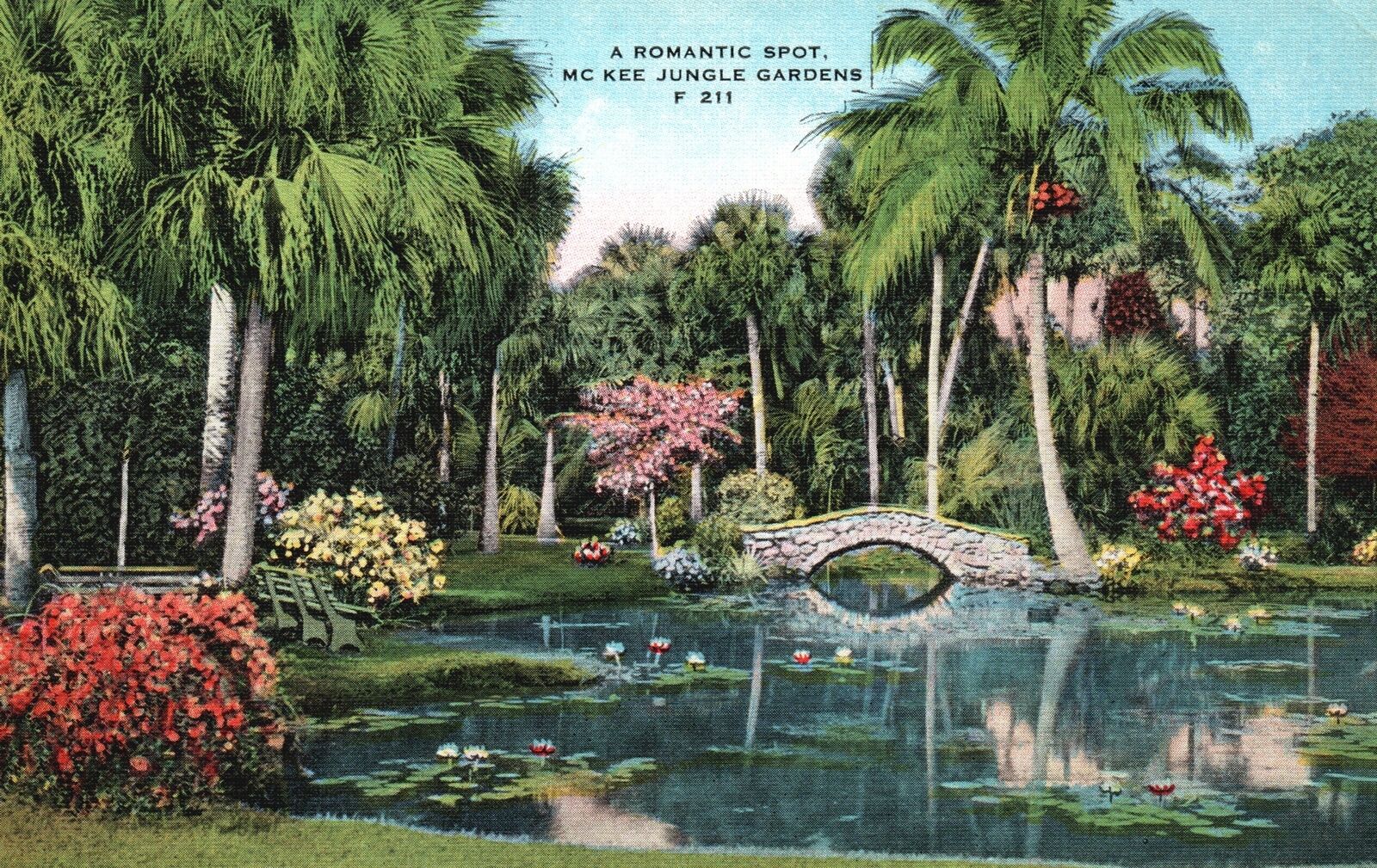 Vintage Postcard Romantic Spot McKee Jungle Gardens Tourist Attraction Florida