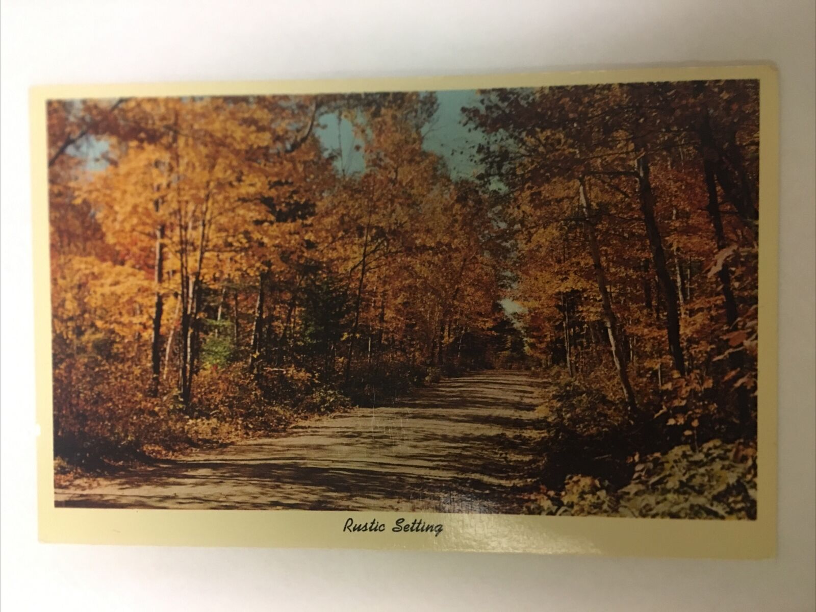 Rustic Setting Vintage Postcard
