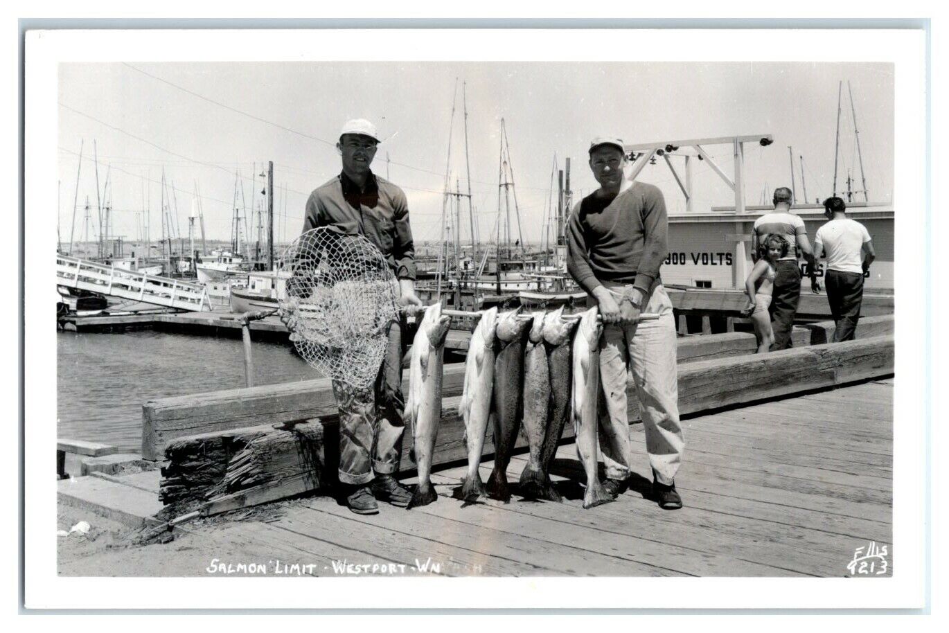 RPPC Salmon Limit, Westport, WA Real Photo Postcard *7L8