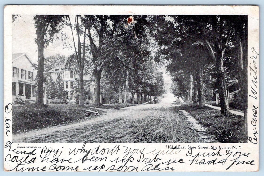 1906 SHERBURNE NEW YORK NY EAST STATE ST HOMES DIRT ROAD SOUVENIR POSTCARD CO