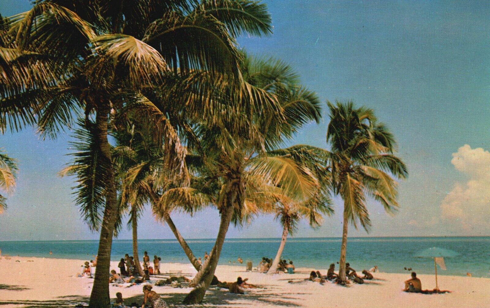 Postcard FL Florida Beach Swaying Palms Golden Sands Chrome Vintage PC G9549