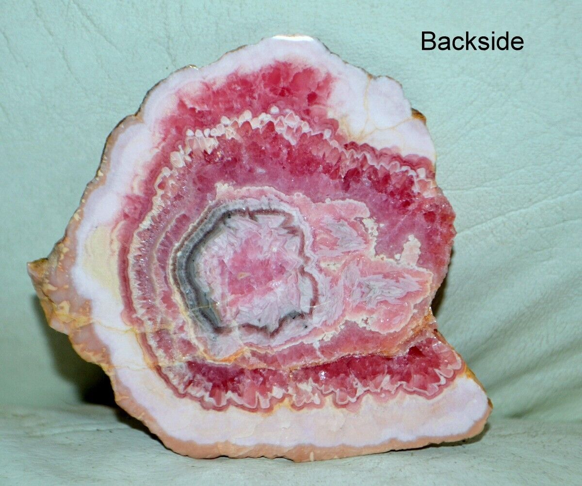 Rhodochrosite Stalagmite slice slab from Argentina * rare *