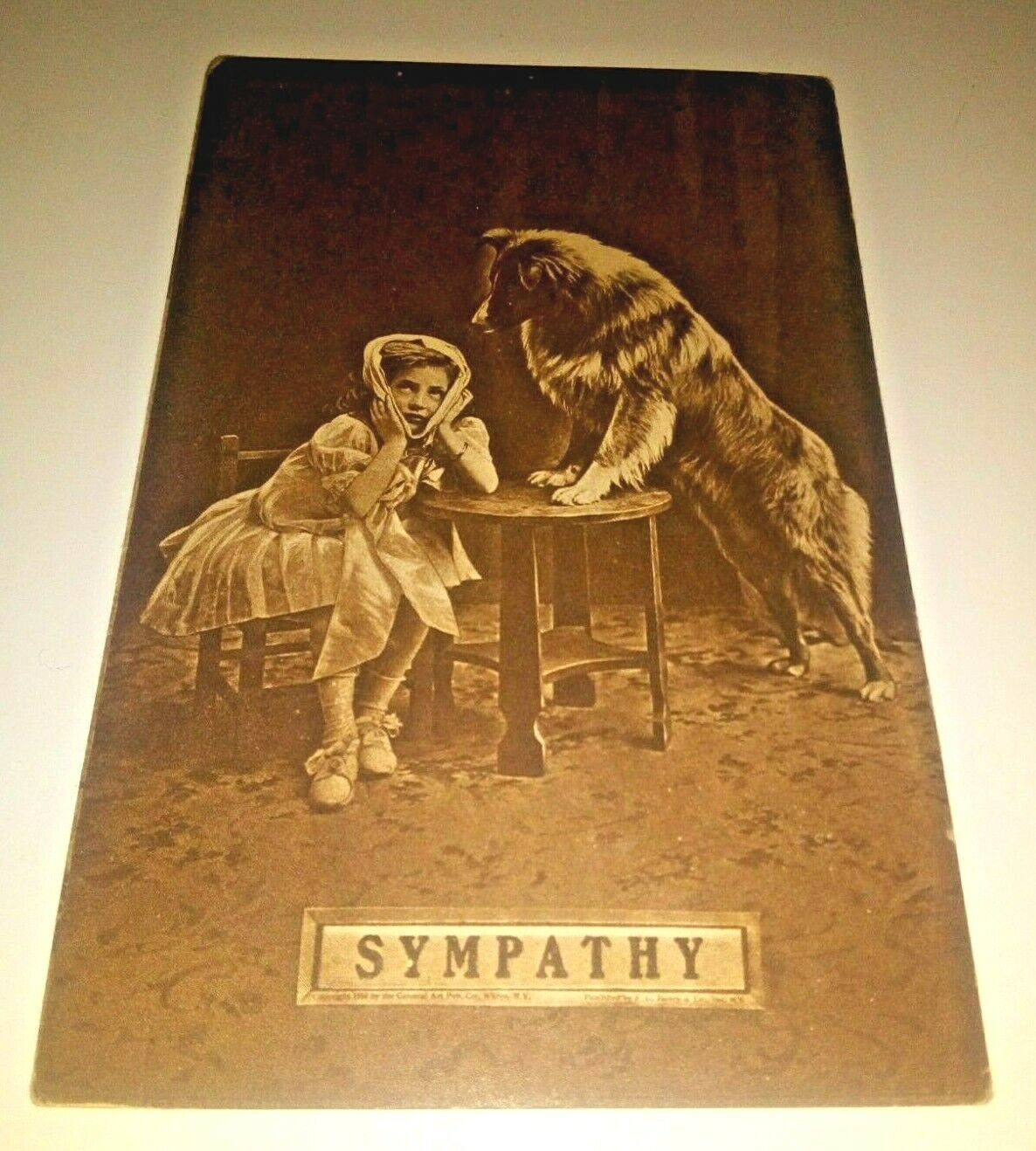 Antique Little Girl & Dog Sympathy Postcard Collie Sick Child Victorian Litho