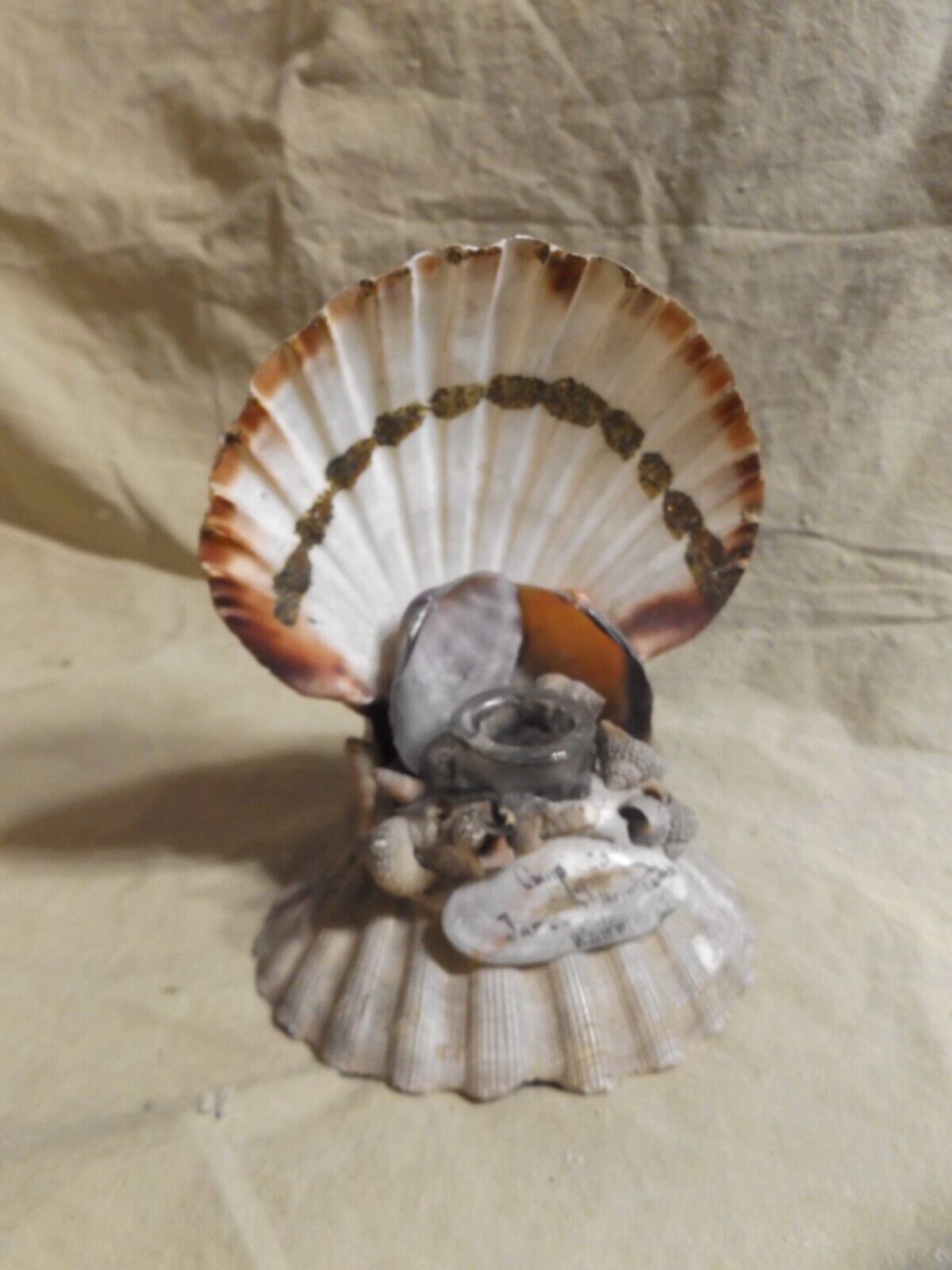Antique Nautical Folk Art Sea Shell  Souvenir Inkwell Paint Scallop Whelk