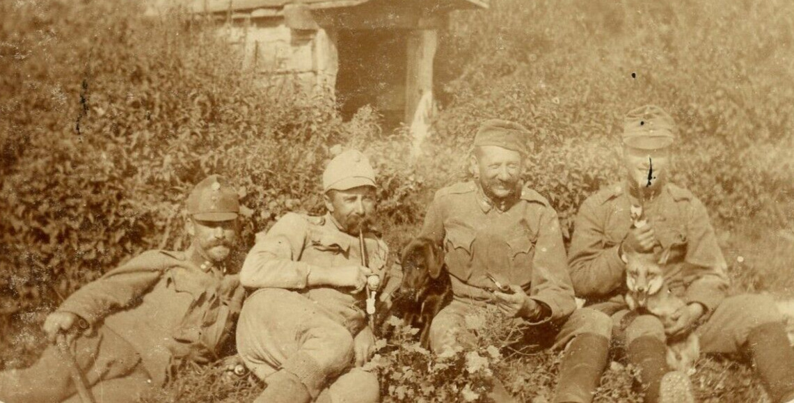 German WW1 Photo Austro Hungarian Soldiers In Field Hats Pose w/ Pet FOX 