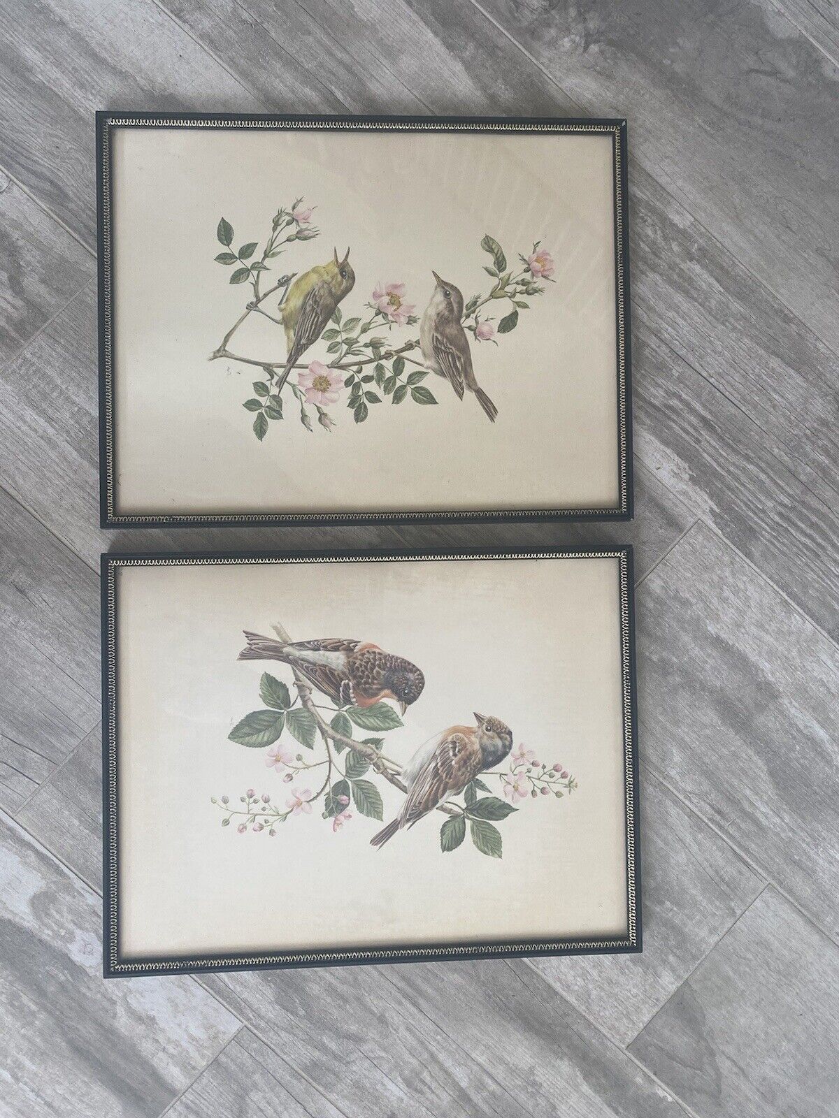 Vintage Framed Mid Century Bird Art