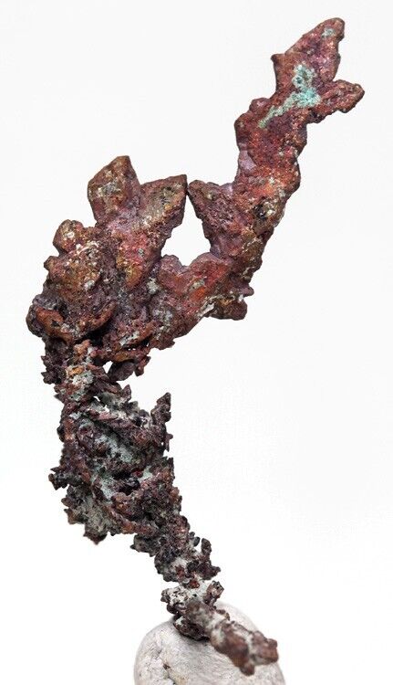 Native Natural Dendritic Copper Crystal Mineral Specimen ITAUZ MINE KAZAKHSTAN