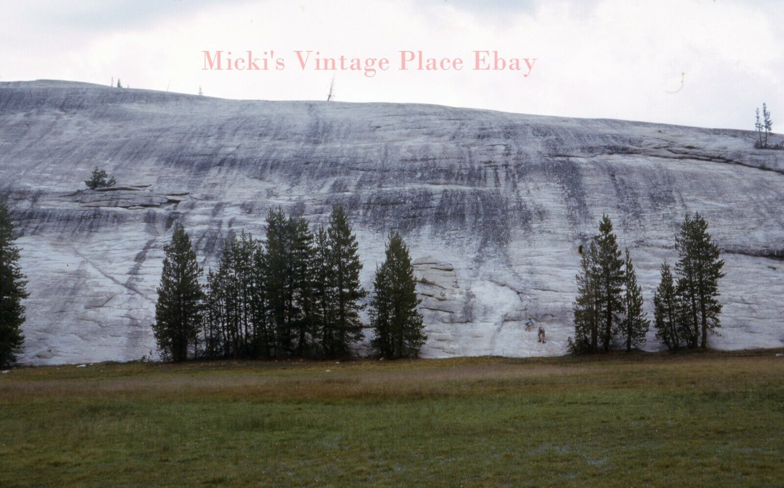 Vtg 1965 Photo 35mm Slide California Yosemite Starting The Ascent  m47