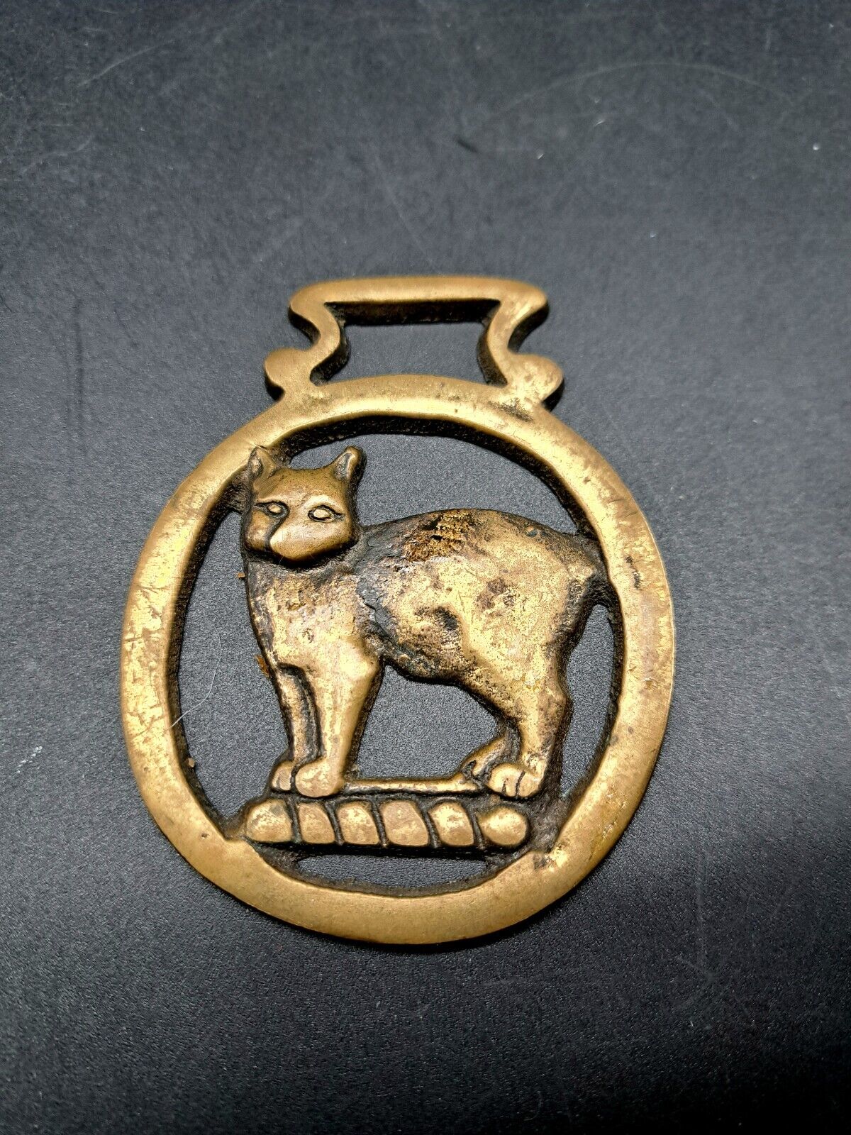 Brass Horse Medallion Vintage English Cat  Bobbed Tail Manx Feline Show Parade